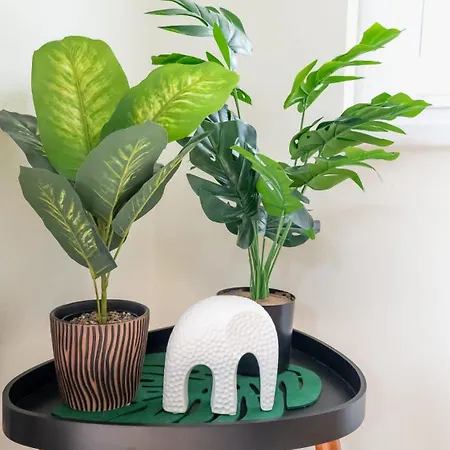 Klein Windhoek Auf Ruegen * Ummanz